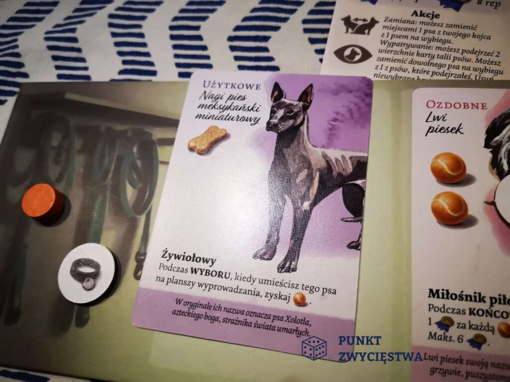 Psi park - karty psów